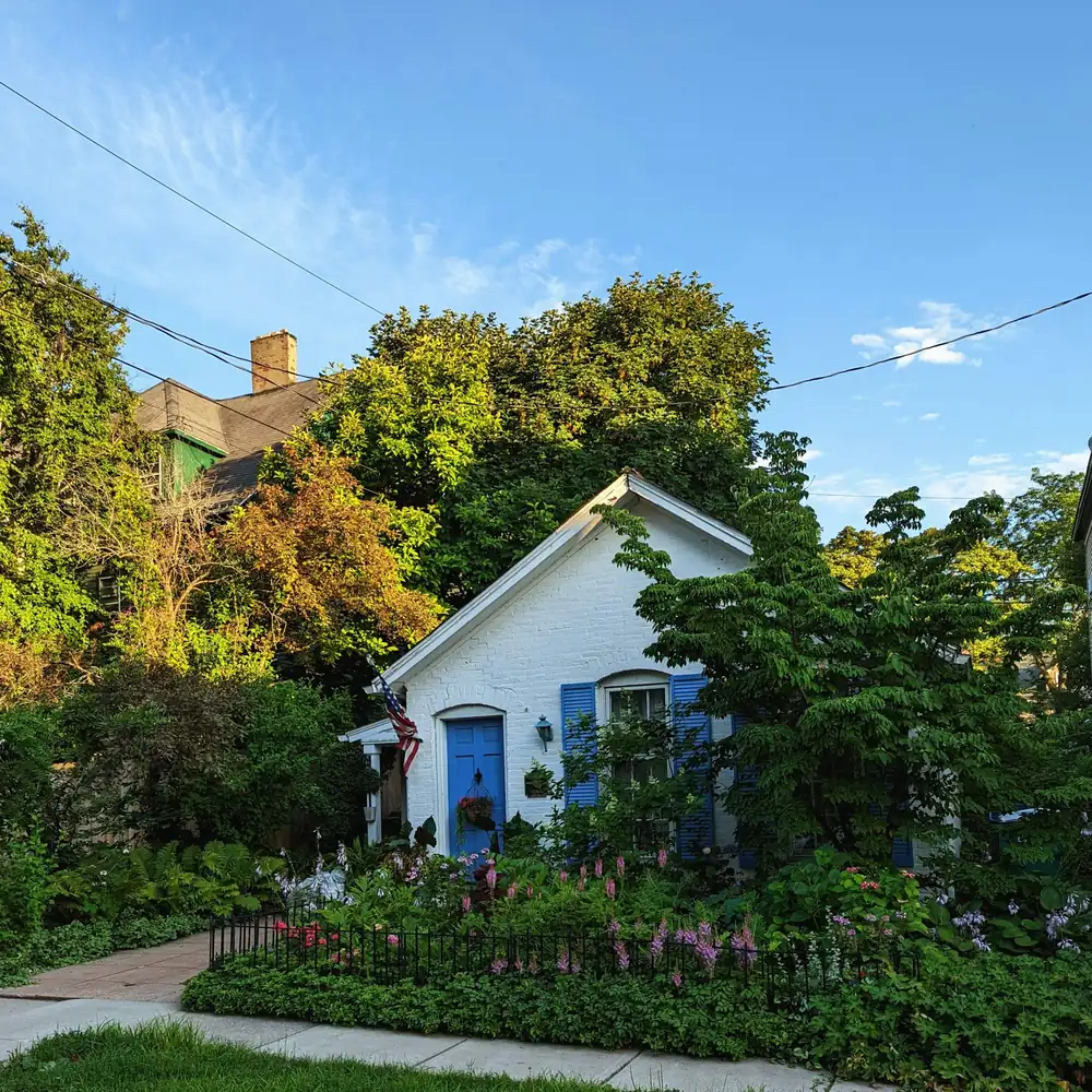 A small white cottage with blue shutters behind a summer garden and tall trees